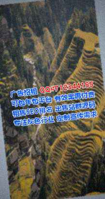 麻章借腹生子云计算公司